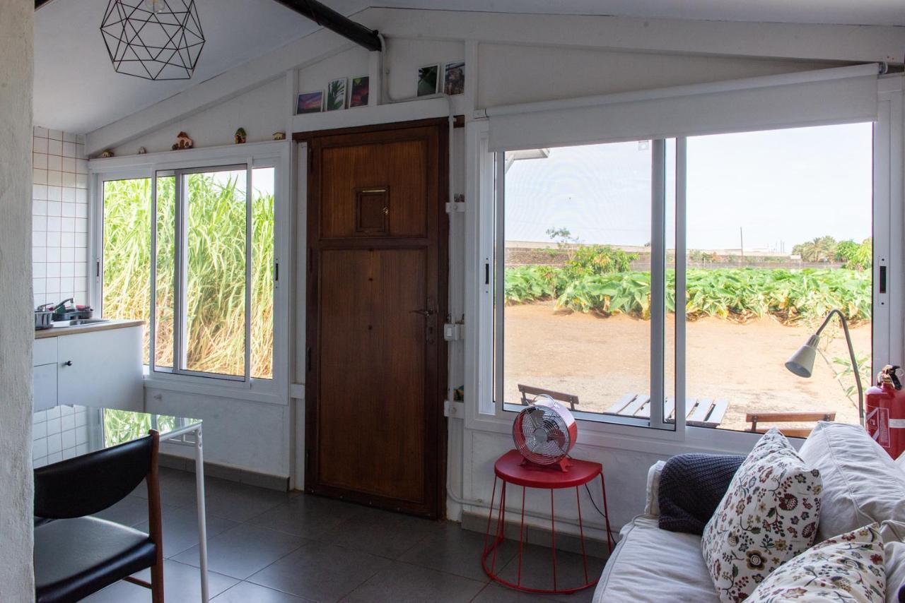 Villa Beautiful Coastal House On A Tranquil Organic Farm Guinea Esterno foto